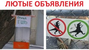 Лютые объявления. Птица, ешь! И капитан очевидность...