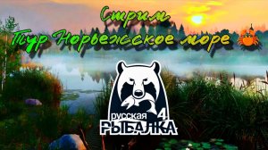 Русская рыбалка 4. Стрим!!! Тур на Норвежское Море. Часть-1 Начало тура