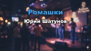 Юрий Шатунов — Ромашки (караоке с текстом) | Нежный хит о первой любви