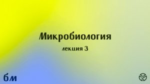 Микробиология (ПМФ). Лекция №3. Лавренова В.Н. 28.02.2026