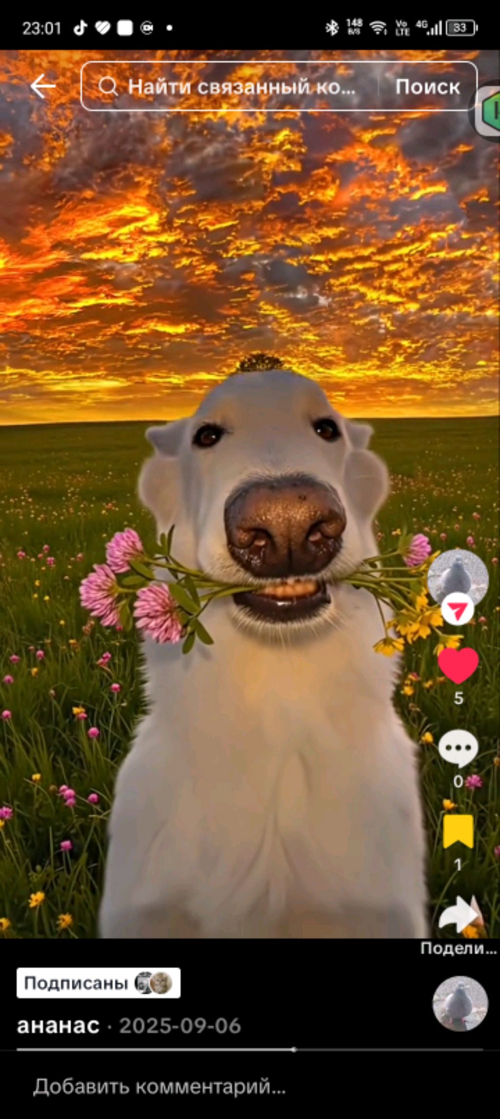 стрим по майну смотреть онлайн