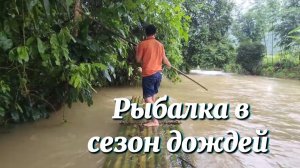Как добыть много рыбы в сезон дождей. Наводнение.