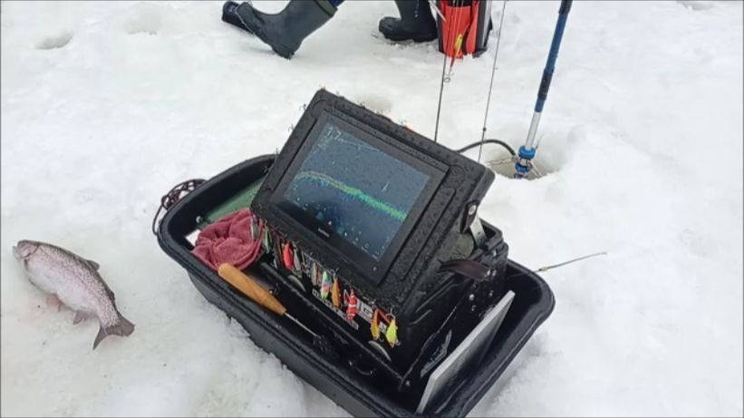 Запуск и первые поимки форели на актив. Спорт-зона. Клёвое место Лосиный остров. смотреть онлайн