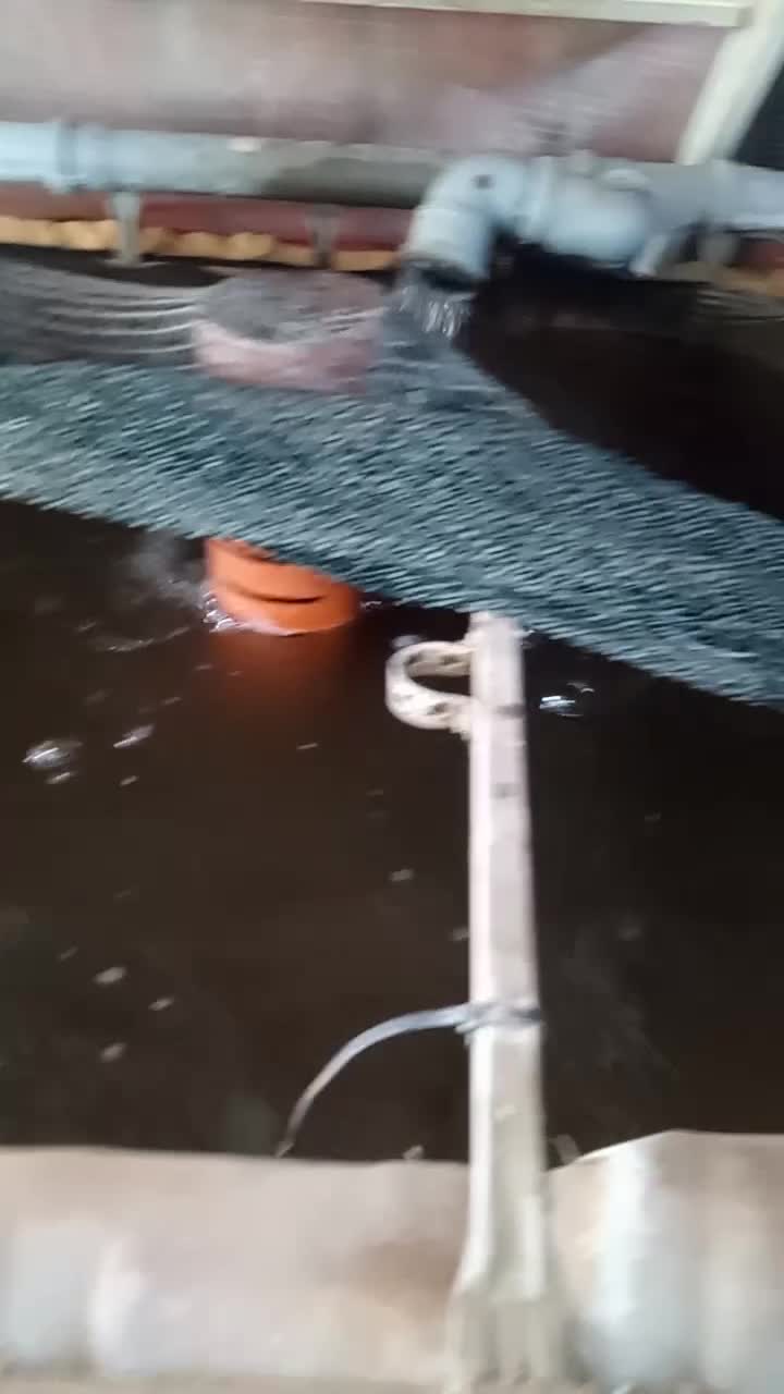 Запустил авто кормушки для сомов, тестирую. 22.07.23