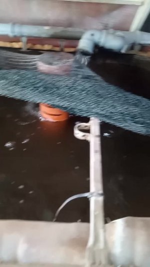 Запустил авто кормушки для сомов, тестирую. 22.07.23