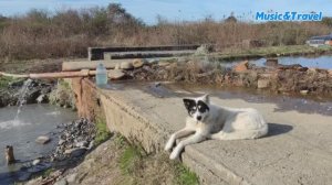 Край, где распускается мимоза, день 25 / Горячий источник. Заброшка санатория ГРУ. Армянское ущелье