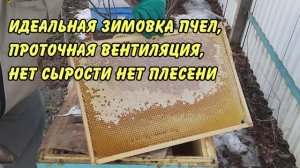 идеальная зимовка пчел, проточная вентиляция, нет сырости нет плесени