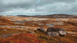 ТУНДРА_ Сборник Страшных Историй из Тундры и Чукотки.