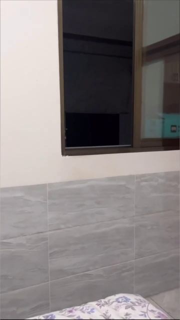 Смешные коты #112-7