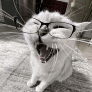 Общение с зрителеми❤️❤️❤️❤️❤️❤️