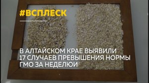 Всплеск производства ГМО-продукции зафиксирован в Алтайском крае