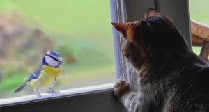 .... Народные приметы с точки зрения Науки....