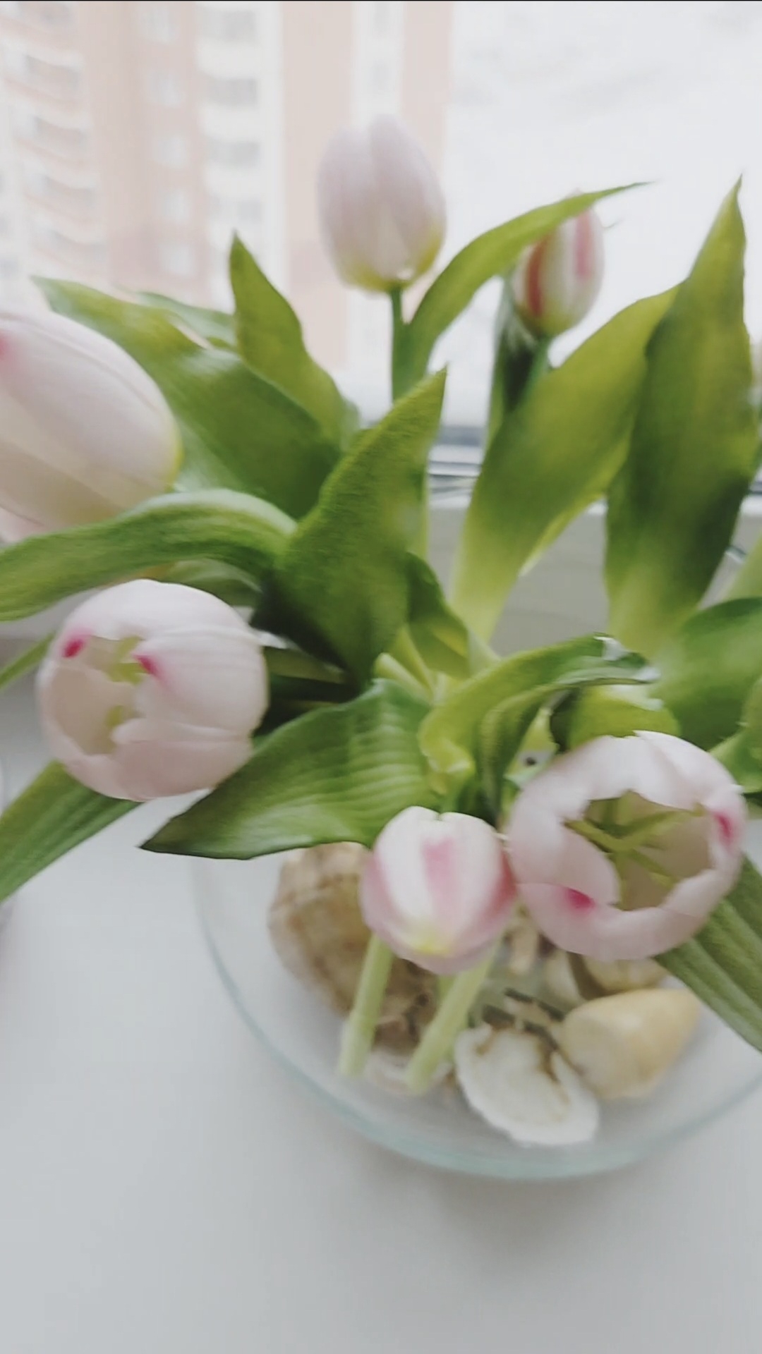 Будни мамы 5 детей  🥰 #деткипредки #буднимногодетноймамы #влог