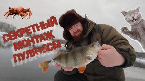 СЕКРЕТНЫЙ МОНТАЖ УБИЙЦА ОКУНЯ ПРОТИВ ОТВОДНОГО ПОВОДКА