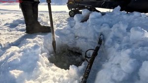 Жерлицы проверка. 18 день.