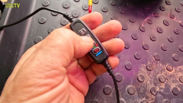 Рассада перца взошла, что делаем дальше для крепкой рассады на толстой ножке 🌶️🌱