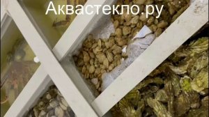 Торговый аквариум - полипропилен