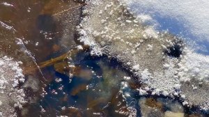 На Некрасовском мосту, Асбест, Средний Урал