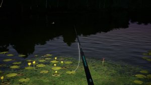 Идём ловить РОТОНА