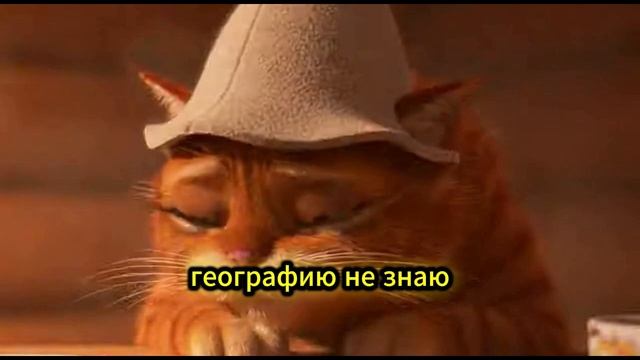 Мартовские Коты. Начало.