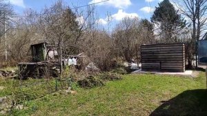 13-Дача..Гиацинты цветут и ждем геодезистов мерить участок 09.05.22.