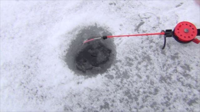 Зимняя рыбалка которая навела на ловлю плотвы на длинные удочки (2020г) смотреть онлайн