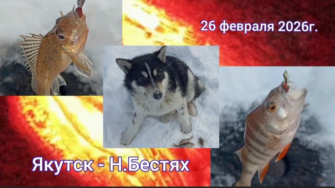 Якутск - Н.Бестях. Рыбалка 26.02.2026г.