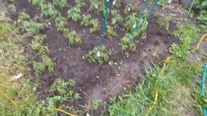 ЕЩЁ НЕМНОГО ЛЕТА 2часть