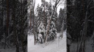 №108 Гармонизация и балансировка пространственных слоёв