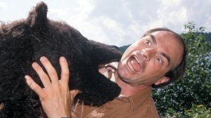 Не поворачивайся спиной: как выжить при встрече с диким и агрессивным животным