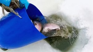 Запуск от 28.02.26