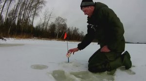 ТОЛЬКО ПЕРЕСТАВИЛ ЖЕРЛИЦЫ И НАЧАЛОСЬ.Ловля щуки на жерлицы.Рыбалка на разливах.