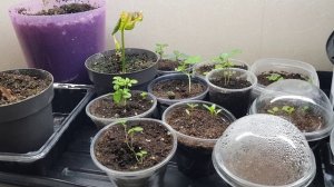 Есть вопрос :) 27.02.26