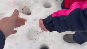 поимка форели