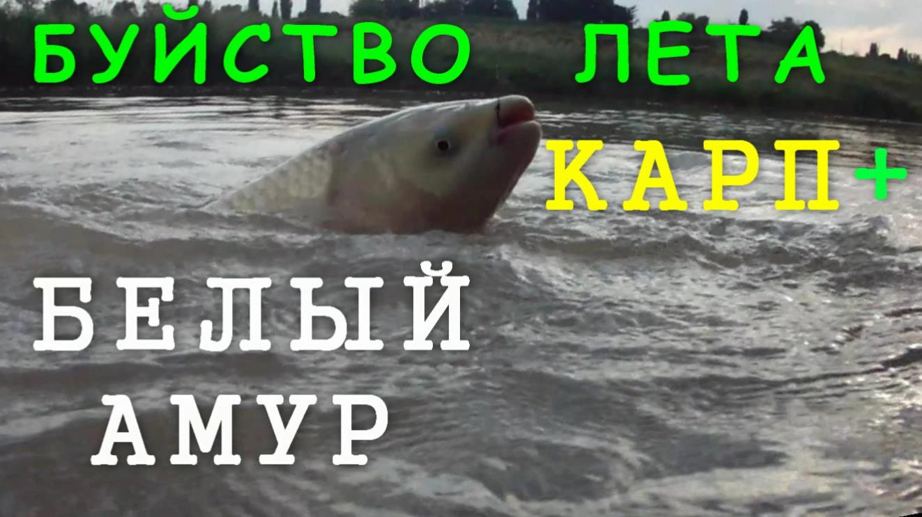 Рыбалка 2-2016