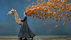 Бумага, ракушка и небо