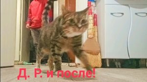 Z.Б.211. Береги родных и близких! День рождения, так себе праздник. Жизнь в провинции.