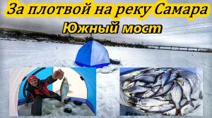 ЛОВЛЯ ПЛОТВЫ НА МОРМЫШКУ В ФЕВРАЛЕ/РЫБАЛКА НА РЕКЕ САМАРА/ПЛОТВА В ГЛУХОЗИМЬЕ/РЫБАЛКА В САМАРЕ/2026