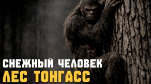 СНЕЖНЫЙ ЧЕЛОВЕК ► ТОМАС И ТОНГАСС. ЧАСТЬ 1