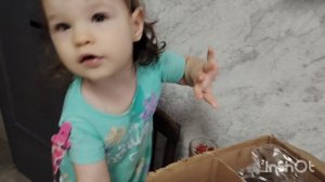 Суббота. Готовила почти целый😔