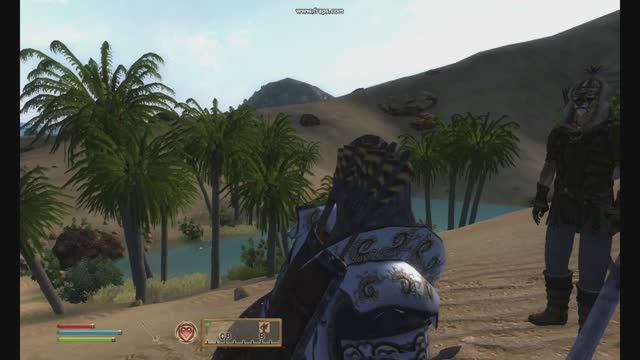 Эльсвейр (2). The Elder Scrolls OBLIVION