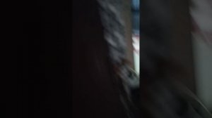 28-02-2026 и мне не жирно быть попрошайкой 😀