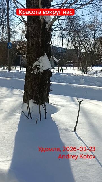 Красота Вокруг Нас #удомля #красотавокругнас #20260223 смотреть онлайн