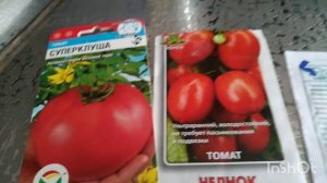 СМОТРЕТЬ ВСЕМ!!! МОИ ЗАМУХРЫШКИ🌿🌿🌿🌿🌿🌿🌿🌹🌹🌹