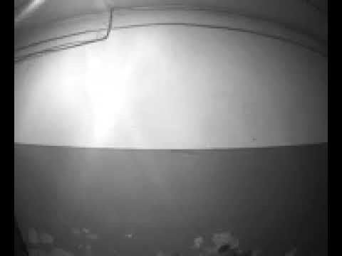 7 июля 2023 г. смотреть онлайн