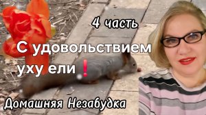 4 часть. С удовольствием уху ели❗️