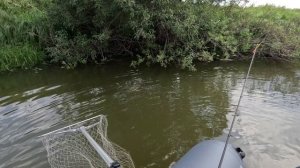 🎣СНОВА СХОД🎣fishing#туризм#природа#ловля#рыбалка#щука#ловлящуки#ночевка#Чулым#река#спиннинг