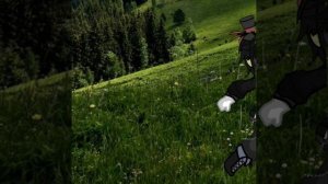 «Веймар и РсФсР»