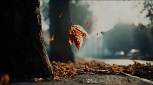 Конечно, в жизни не познать.