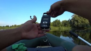 Мощная поклёвка щуки